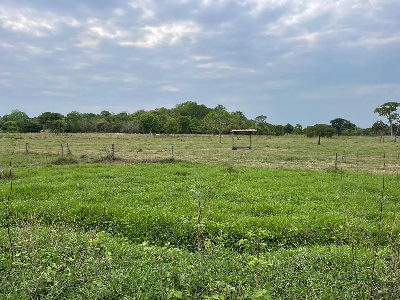 Fazenda em Itapirapuã- Goiás - Foto 3