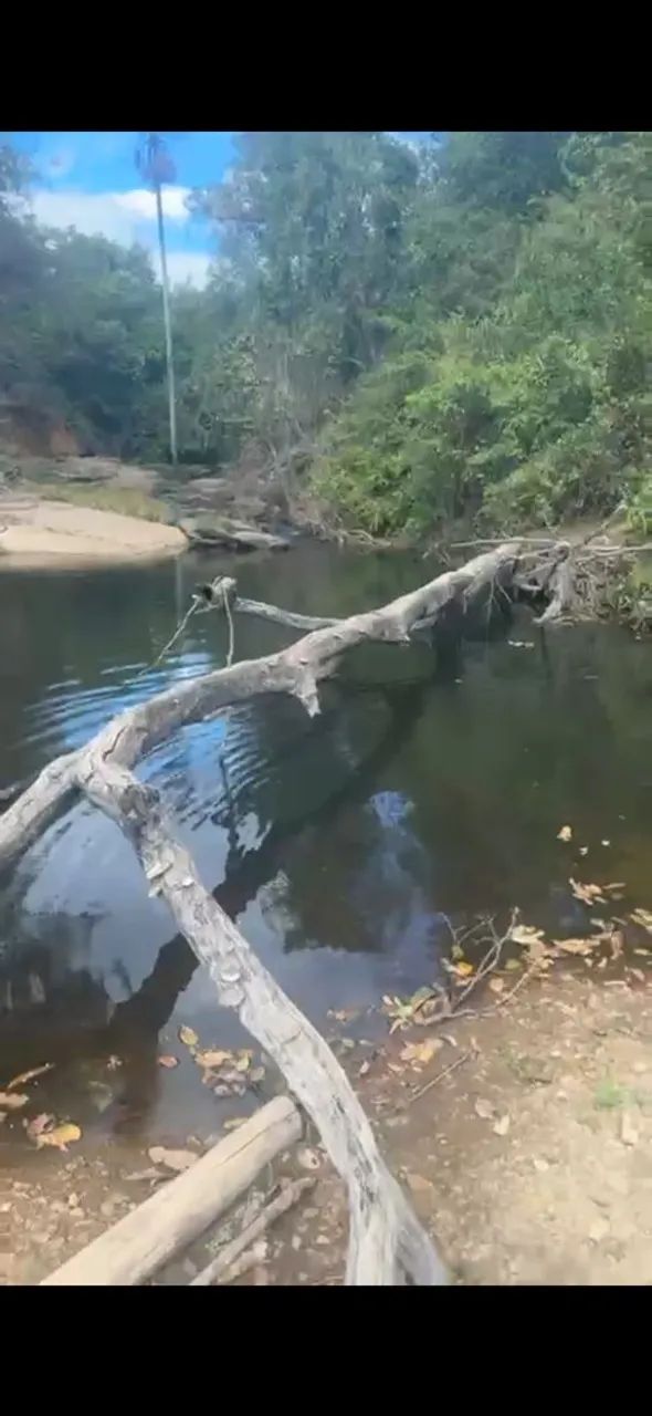 Chacara em varjão com corrego  - Foto 4