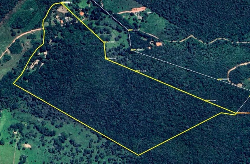 Fazenda Bom Sucesso com 5 alqueires Goianápolis - GO - Foto 3