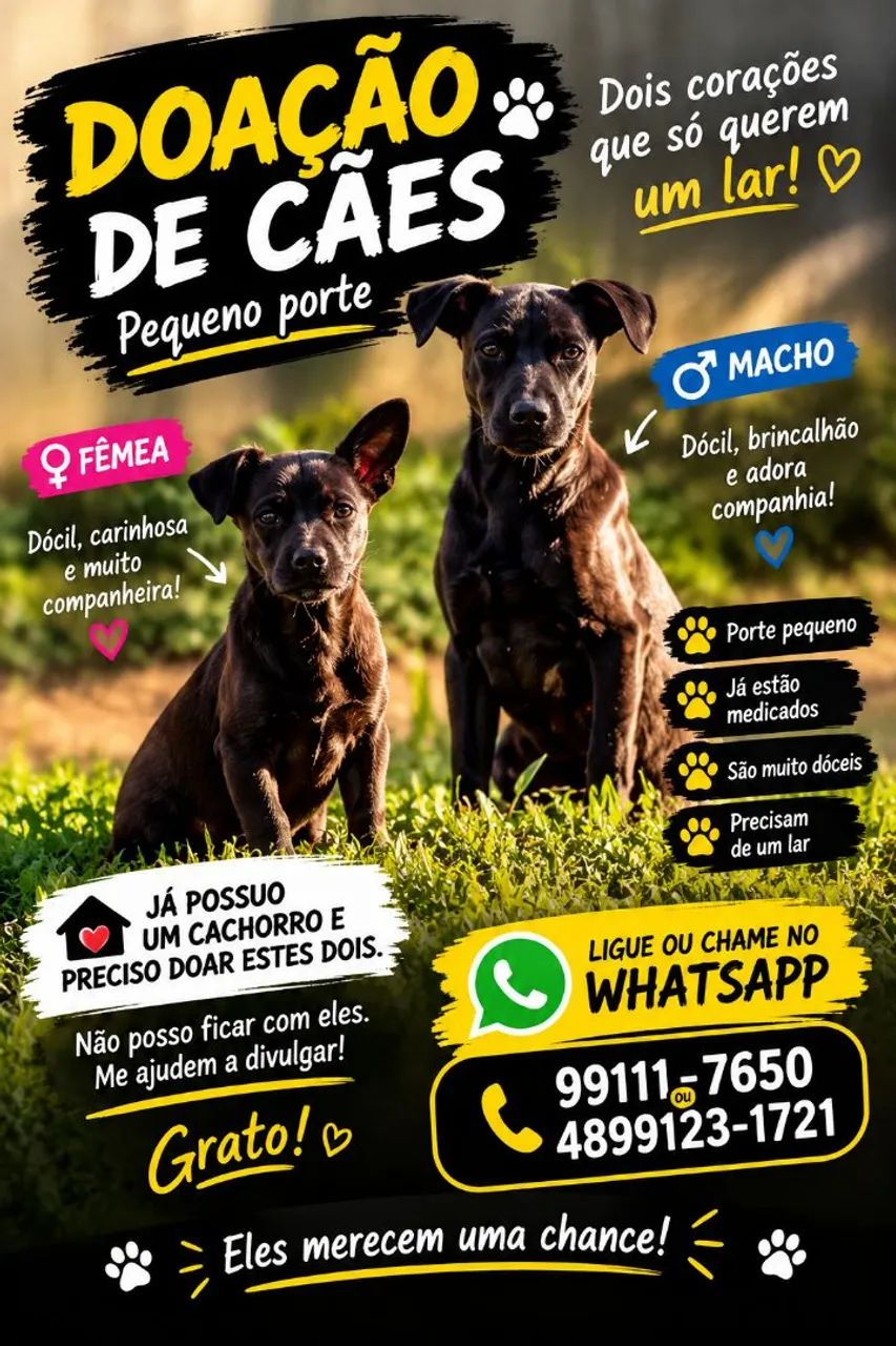 Dogs