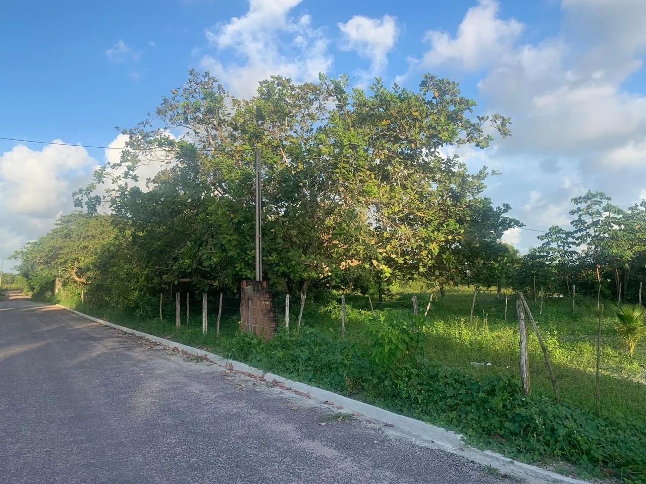 Sítio caapora  - Foto 4