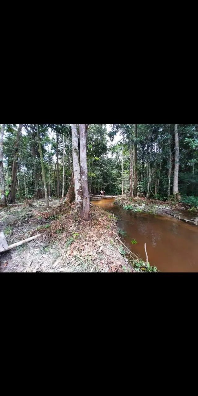 Vendo sítio ramal Bijudeu 17KM cidade.