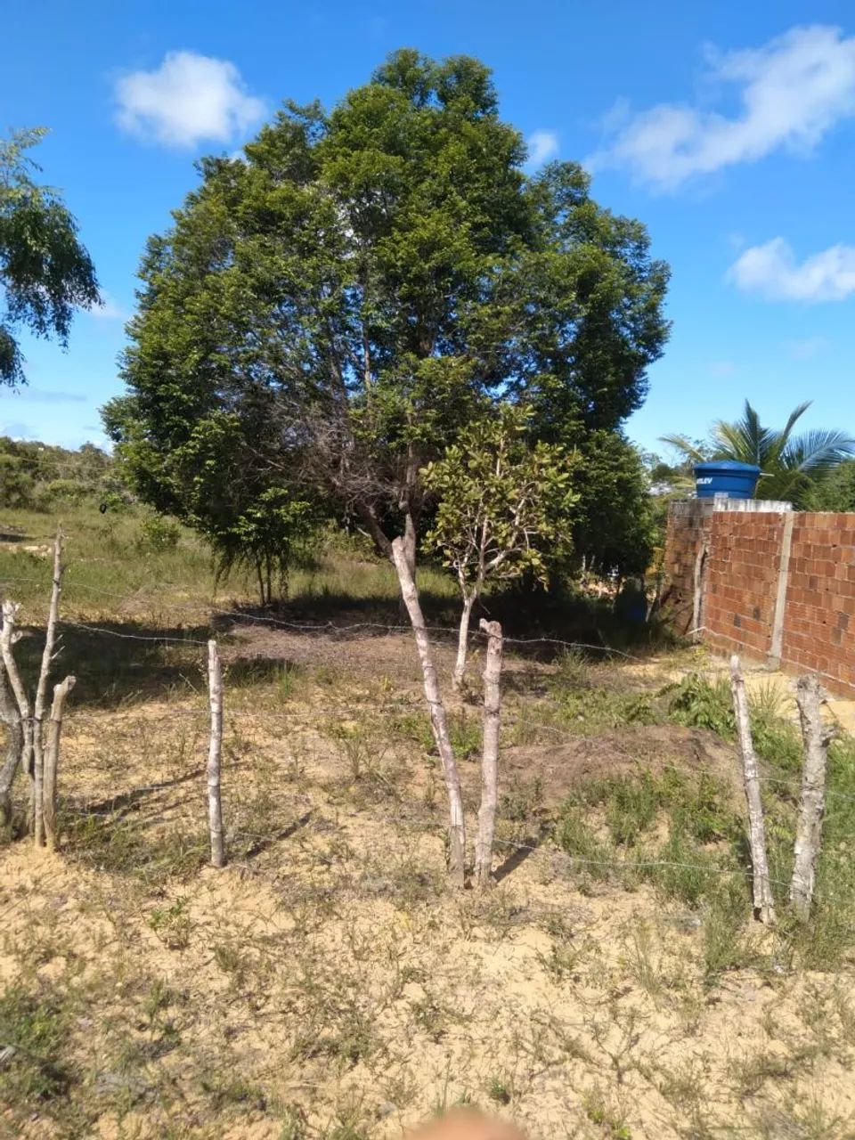Terreno 