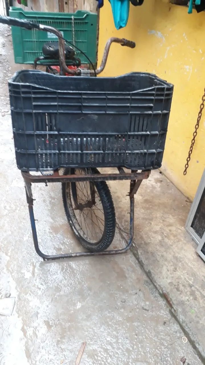 Bicicleta de carga 