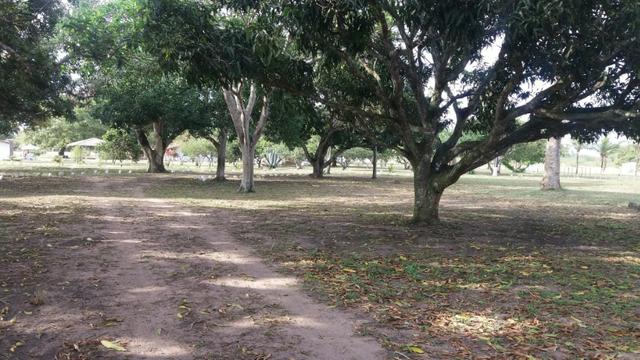 Fazenda para eventos ou temporada em São Gonçalo dos Campos Ba - Foto 16