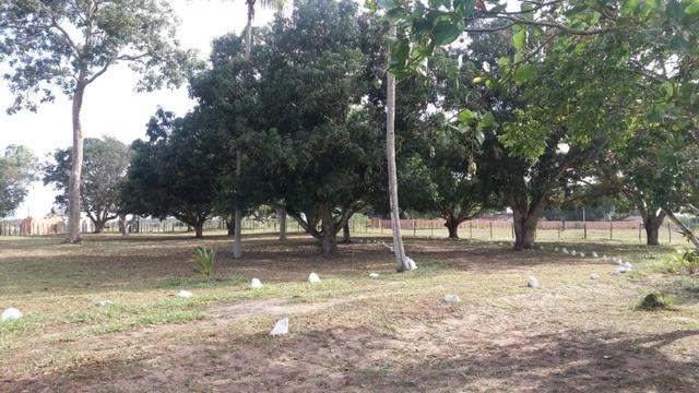 Fazenda para eventos ou temporada em São Gonçalo dos Campos Ba - Foto 12
