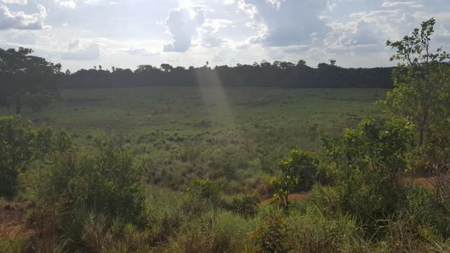 Fazenda de 4250 hectares no Cantá, na Serra da lua, ler descrição do anuncio - Foto 13