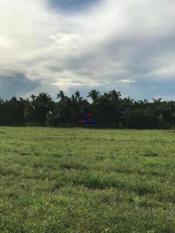Fazenda a venda no estado do mato grosso - Foto 11