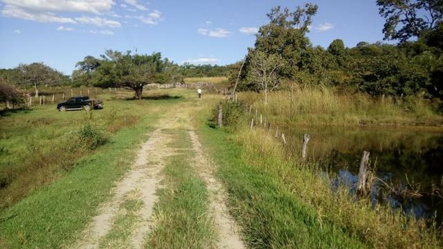Fazenda no município de faina-GO! 24 Alqueires! - Foto 11