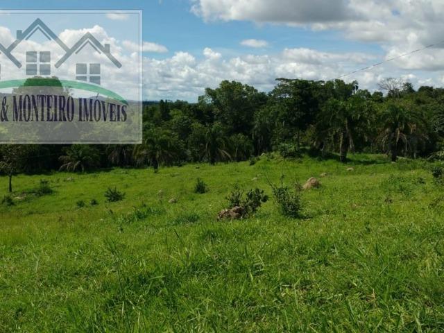 Chácara com excelente localização, sendo 21 km da cidade de Faina-GO - Foto 4