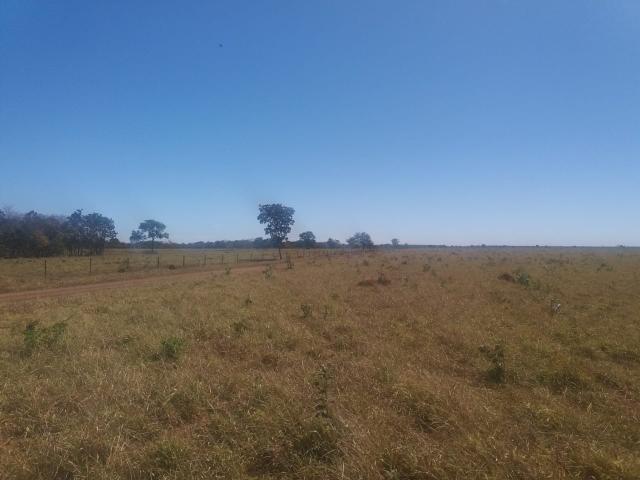 Fazenda município Paracatu - Foto 6