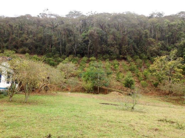 Fazenda rural à venda, Providência, Teresópolis. - Foto 5