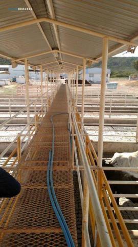 Fazenda no Estado da Bahia - Foto 10