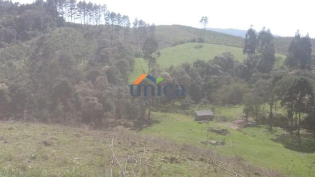 Campo alegre, campinas - Foto 6