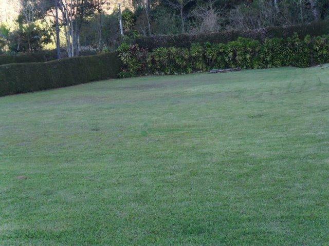 Sítio rural à venda, Vargem Grande, Teresópolis. - Foto 8