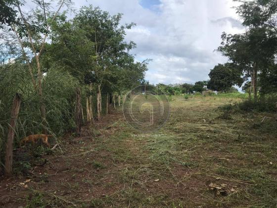 Sítio 11,8 ha na região distrito da guia - Foto 12