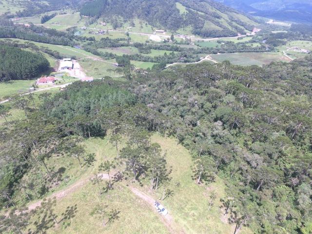 Sitio em Urubici /chácara em Urubici /área rural em Urubici - Foto 12