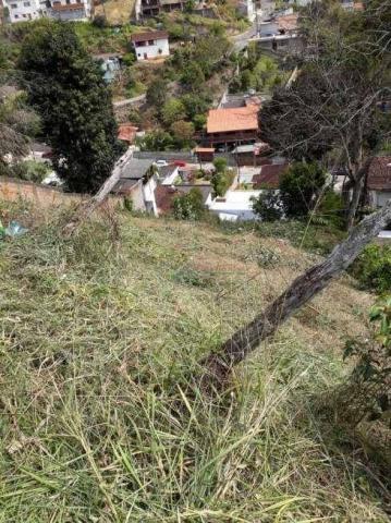 Terreno à venda, 500 m² por R$ 110.000 - Vale do Paraíso - Teresópolis/RJ - Foto 4