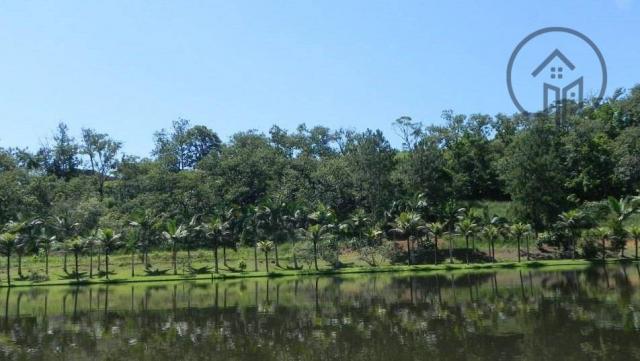 Terreno à venda, 900 m² por R$ 720.000,00 - Jaraguá Esquerdo - Jaraguá do Sul/SC - Foto 16