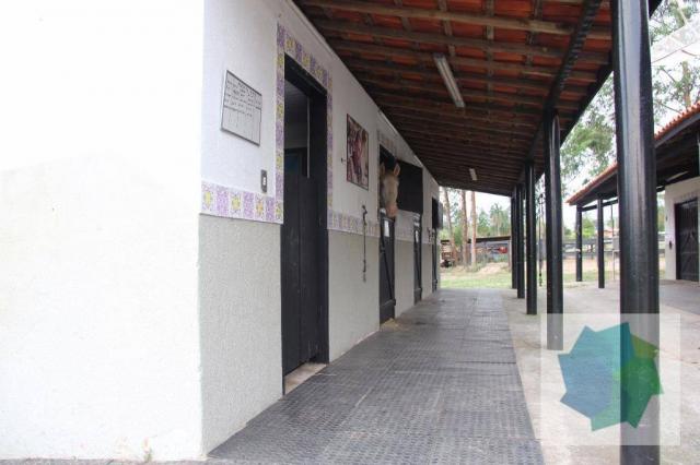 Haras à Venda em Sarapuí/SP - Foto 3