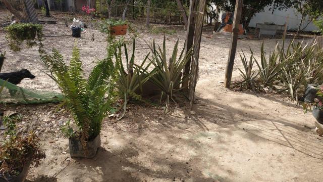 Chácara no rio paciência - Foto 10