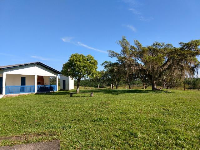Sítio 16,6 Hectares - Barro Vermelho - Gravataí - RS - Foto 17