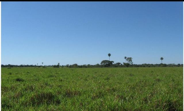 Fazenda Excelente Fazenda no Município de Poconé 16520412 hectares - Foto 7
