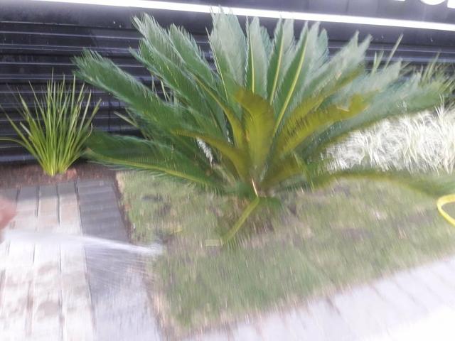 Jardineiro ligue já * - Foto 2