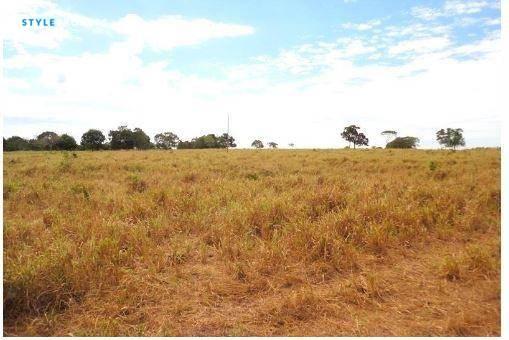 Fazenda em jangada - MT - Foto 14
