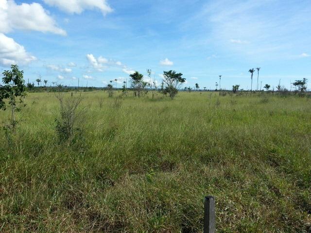 Fazenda região de Juara F0022 - Foto 14