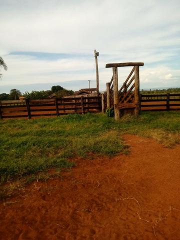 Fazenda 15000 hectares em vila bela, ha 60 km ponte e Lacerda - Foto 9
