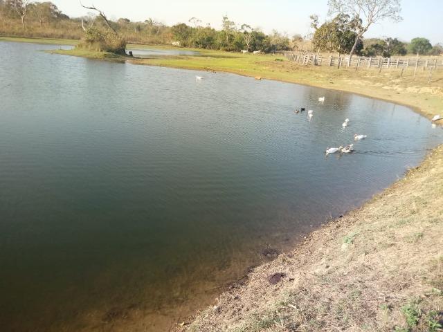 Fazenda Proximo da Estrada da Guia - Foto 2