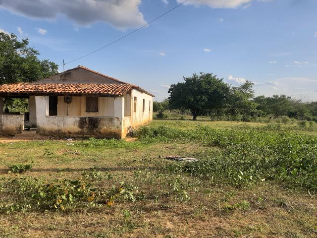 Vendo fazenda em crateus ce ou troco - Foto 7
