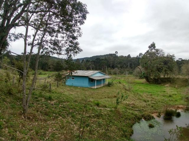 Fazenda em Campo Largo Bairro São Silvestre - Foto 20