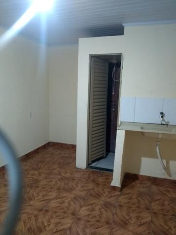Aluga kit Net samambaia norte