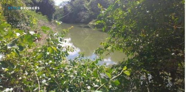 Fazenda em jangada - MT - Foto 3