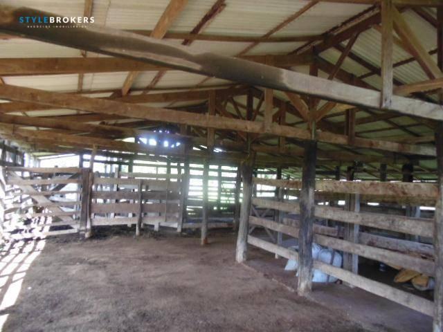 Fazenda à venda, 800000 m² por R$ 550.000,00 - Zona Rural - Nossa Senhora do Livramento/MT - Foto 12