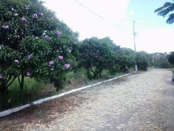 Fazendinha alto luxo 20 mil em Condominio Fechado Portal do Horizonte - Foto 6