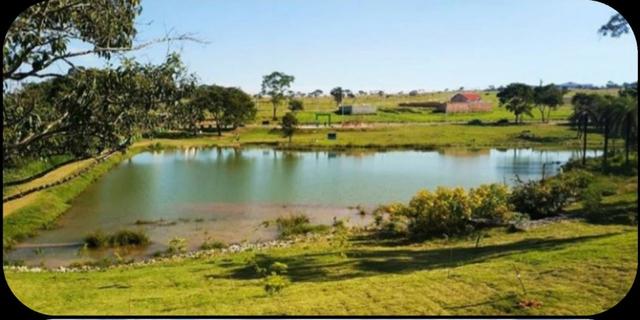 Lotes ao lado de parque ecológico e mata nativa com lago natural em Valparaíso - Foto 6