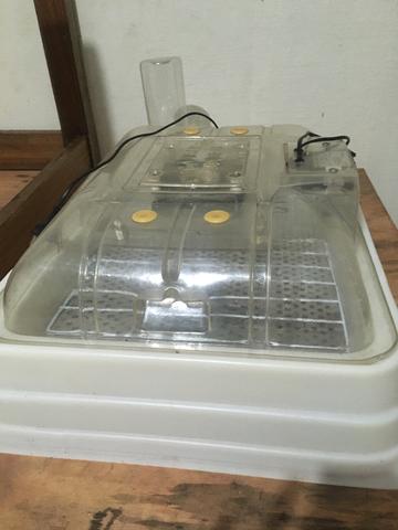 Chocadeira eletroeletrônica
