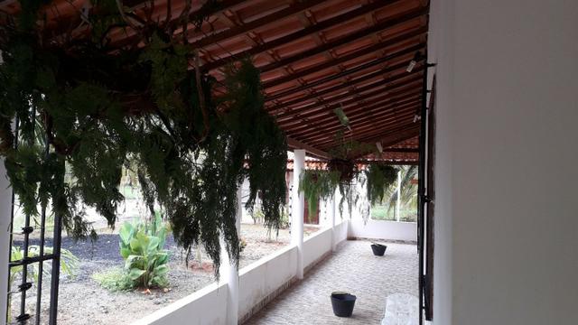 Fazenda em Conde, 45 tarefas - Foto 12