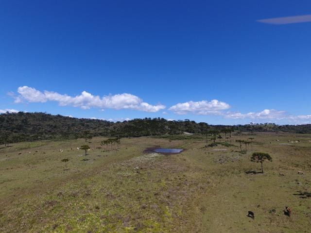 Sitio chácara em Urubici/ área rural - Foto 7