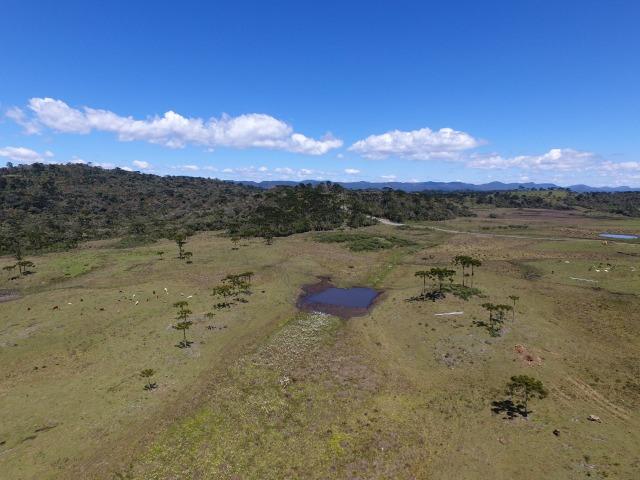 Sitio chácara em Urubici/ área rural - Foto 8