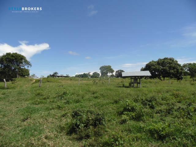 Fazenda à venda, 800000 m² por R$ 550.000,00 - Zona Rural - Nossa Senhora do Livramento/MT - Foto 17
