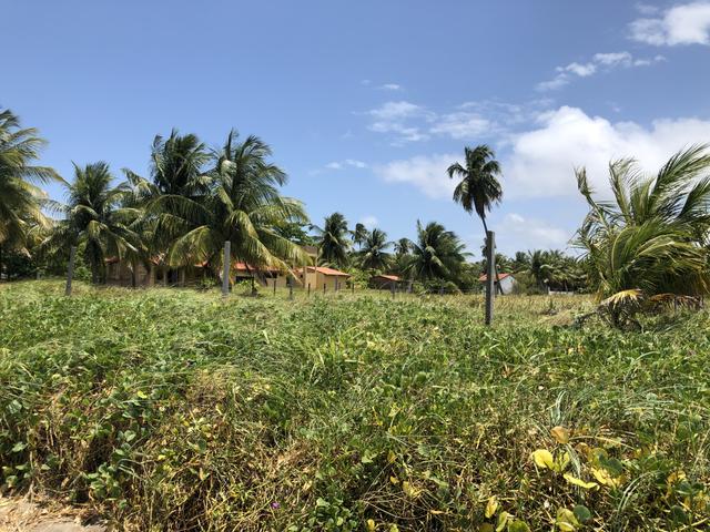 Terreno a BEIRA MAR em Japaratinga - Foto 2