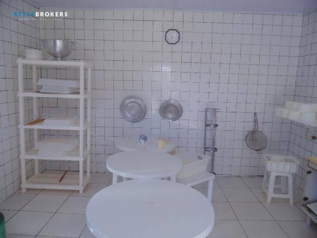 Fazenda à venda, 800000 m² por R$ 550.000,00 - Zona Rural - Nossa Senhora do Livramento/MT - Foto 5