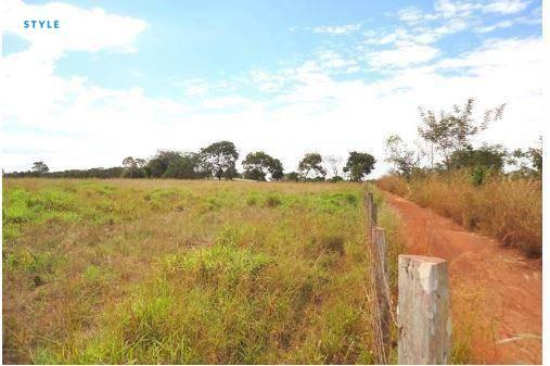 Fazenda em jangada - MT - Foto 10