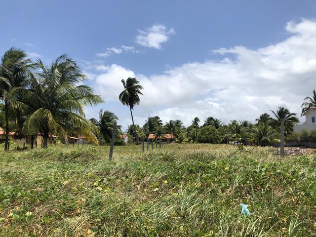 Terreno a BEIRA MAR em Japaratinga - Foto 6