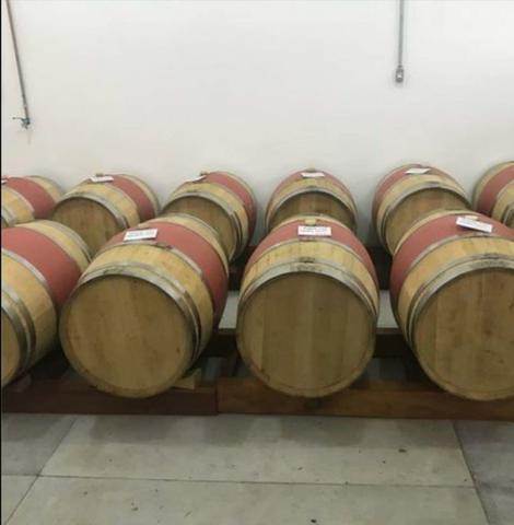 Vinícola em Gramado em produção - Foto 9