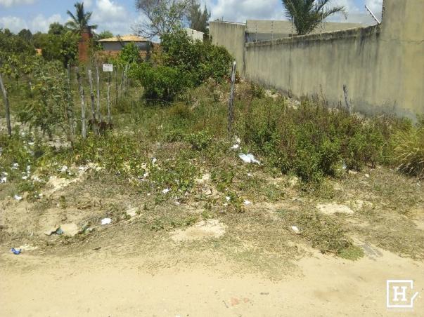 Lote à venda - mosqueiro (zona de expansão) - Foto 5
